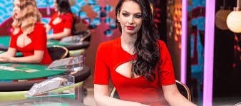 Responsible gaming features and budget management tools on tj bet